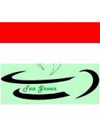 Té Verdes Origen Indonesia